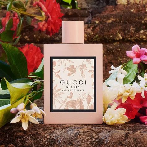 gucci bloom review fragrantica|gucci bloom costco.